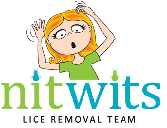 Logo Nitwits