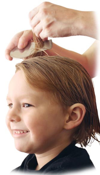 Nitwits Lice Removal Boy