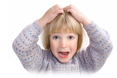 lice removal Toronto